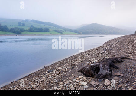 Ladybower Vorratsbehälter an einem nebligen Morgen. Stockfoto