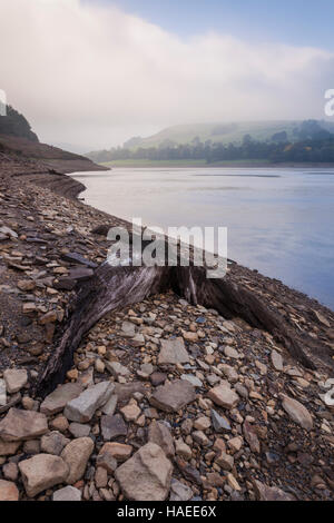 Ladybower Vorratsbehälter an einem nebligen Morgen. Stockfoto