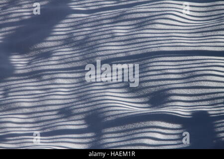 Winter Hintergrund mit Schatten auf dem Schnee Stockfoto