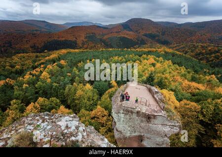 ELSASS-SCHLÖSSER-ROUTE, BAS-RHIN (67), FRANKREICH Stockfoto
