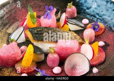 CHRISTOPHE HEU, KÜCHENCHEF BEI DER MICHELIN-STERNE RESTAURANT LA MAISON D ' A COTE, MONTLIVAULT, (41) LOIR-ET-CHER, CENTRE, FRANKREICH Stockfoto