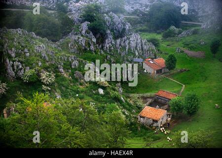 Alten Bauernhof und Häuser Covadonga Seen, Picos de Europa, Parque Nacional de Los Picos de Europa, Asturien, Kantabrien, Spanien, Europa. Eine der Stationen des Stockfoto