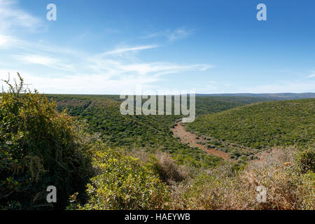 Grass-Landschaft mit bewölktem Himmel im Addo Elephant Park. Stockfoto