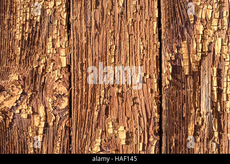Abblätternde Farbe auf dunkelbraunem Holz mit Peeling Flocken und Flecken von alten malen. Grobe Peeling Oberfläche in dunkle Holzfarbe lackiert. Stockfoto
