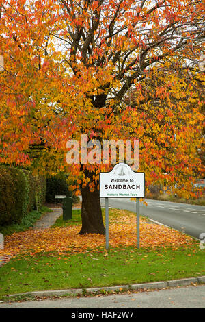 Schild sprach mit überhängenden Baum im Herbst Farben Willkommen in Sandbach Stockfoto