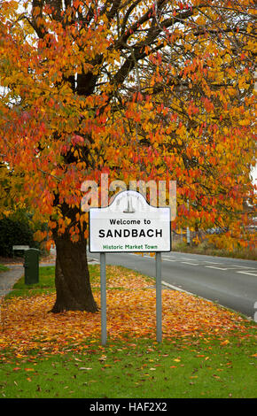 Schild sprach mit überhängenden Baum im Herbst Farben Willkommen in Sandbach Stockfoto