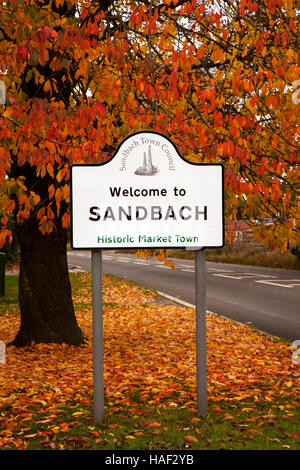 Schild sprach im Cheshire England Willkommen in Sandbach mit überhängenden Baum in den Farben des Herbstes und Blätter Stockfoto