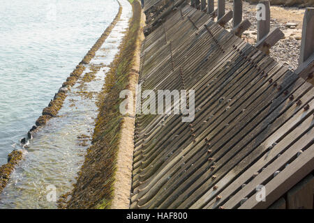 Hölzerne Küstenschutzes beschädigt in 2015 Stürme in Sheringham, Norfolk, England Stockfoto