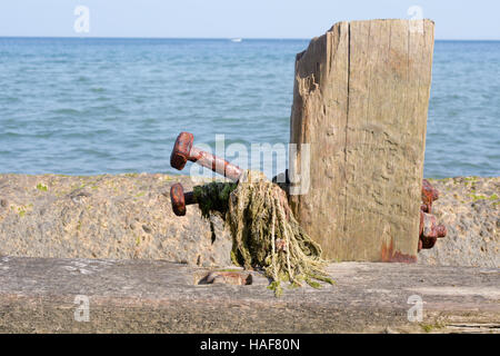 Verrostete Schrauben und Muttern auf hölzernen Küstenschutzes beschädigt in 2015 Stürme in Sheringham, Norfolk, England Stockfoto