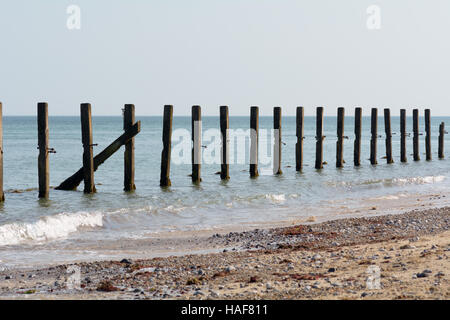 Hölzerne Küstenschutzes beschädigt in 2015 Stürme in Sheringham, Norfolk, England Stockfoto