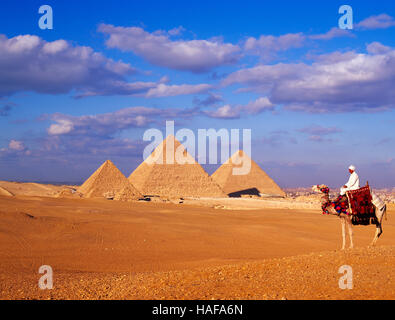 Pyramiden und Kamelreiter, Gizeh, Kairo, Ägypten. Stockfoto