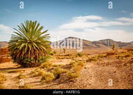 Landschaft nahe der Stadt Ouarzazate in Marokko Stockfoto