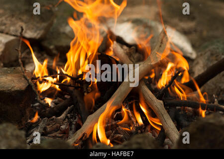 Nahaufnahme eines Lagerfeuers Stockfoto