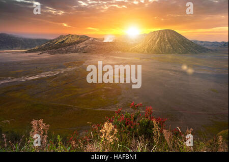 Mount Bromo (Gunung Bromo) bei Sonnenaufgang in Ost-Java, Indonesien. Stockfoto