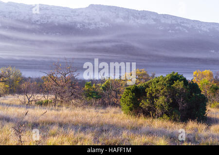 FORET DE STE BAUME, BRUME, VAR 83 FRANKREICH Stockfoto