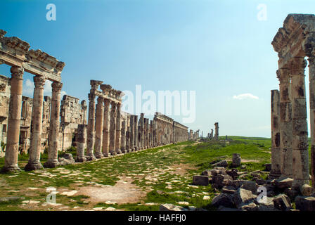 Der große Kolonnade, gebaut von den Römern im 2. Jahrhundert n. Chr. in der alten Stadt von Apameia in der Nähe von Hama in Syrien. Stockfoto