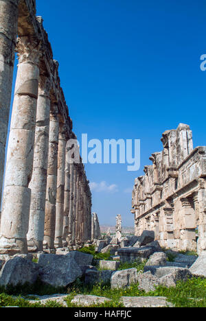 Der große Kolonnade, gebaut von den Römern im 2. Jahrhundert n. Chr. in der alten Stadt von Apameia in der Nähe von Hama in Syrien. Stockfoto