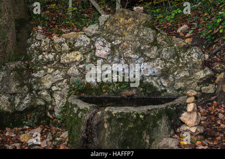 FORET DE STE BAUME, QUELLE DE ST ZACHARIE, VAR 83 FRANKREICH Stockfoto