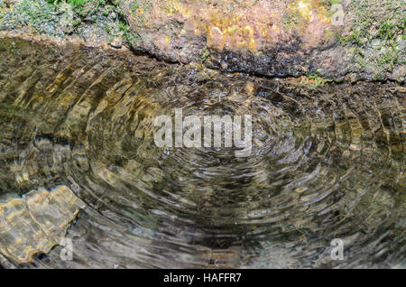 FORET DE STE BAUME, QUELLE DE ST ZACHARIE, VAR 83 FRANKREICH Stockfoto