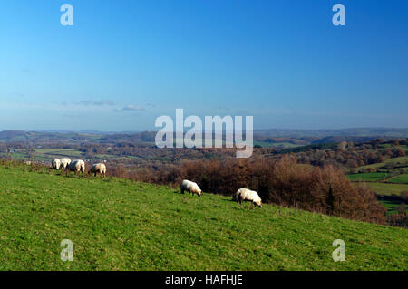 Blick, Blick nach Süden über das Usk-Tal in Richtung der Severn Mündung vom Hügel oberhalb Pontypool, South Wales. Stockfoto