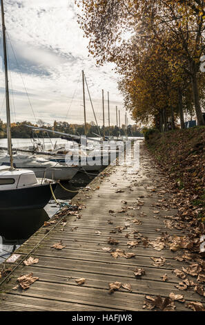 Ponton am Fluss Erdre Stockfoto