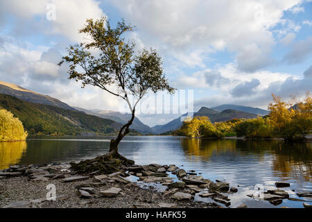 Llyn Padarn und Blick in Richtung Snowdon (Yr Wyddfa), Llanberis, Snowdonia National Park (Eryri), Gwynedd, Wales Stockfoto