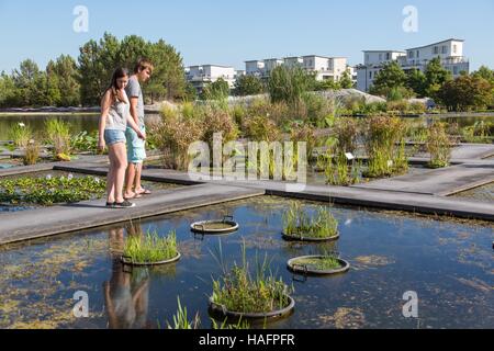 ABBILDUNG DER STADT BORDEAUX, (33) GIRONDE, AQUITAINE, FRANKREICH Stockfoto