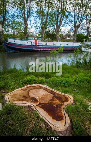 DER CANAL DU MIDI, FLIEßT ENTLANG GESCHICHTE, LANGUEDOC ROUSSILLON MIDI-PYRENÄEN Stockfoto