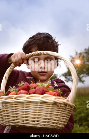 Kleinen Jungen Spaß am Erdbeerfarm. Süße junge Kind essen gesunde Bio-Lebensmittel, frische Beeren. Stockfoto