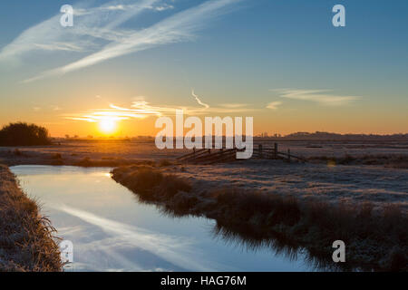 Hailsham, UK. 30. November 2016. UK-Wetter.  Die Sonne steigt über den Frost bedeckt Pevensey Ebenen nahe Hailsham, East Sussex, UK Credit: Ed Brown/Alamy Live News Stockfoto