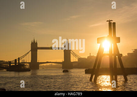 London, UK 30. November 2016. Die Sonne geht hinter der Tower Bridge an einem klaren Morgen wie der Hauch des Todes weiter. Tower Bridge ist derzeit für den Verkehr gesperrt, da es Sanierung unterzogen wird. Bildnachweis: Patricia Phillips / Alamy Live News Stockfoto