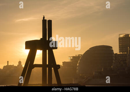 London, UK 30. November 2016. Atmosphärischen Dunst leuchtet auf der Themse an einem klaren Morgen wie der Hauch des Todes weiter. Kormorane Sonnen vor dem Rathaus. Bildnachweis: Patricia Phillips / Alamy Live News Stockfoto