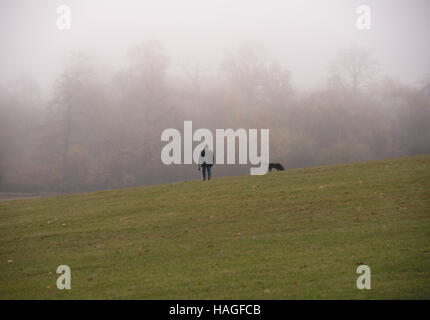 Brentwood, Essex, 1. Dezember 2016, Misty Morning in Weald Park Credit: Ian Davidson/Alamy Live News Stockfoto