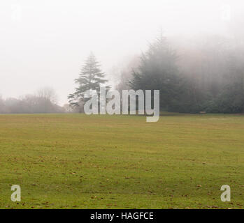 Brentwood, Essex, 1. Dezember 2016, Misty Morning in Weald Park Credit: Ian Davidson/Alamy Live News Stockfoto