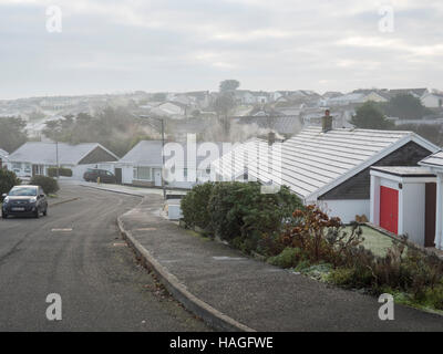 Newquay, Cornwall, UK. 1. Dezember 2016. Großbritannien Wetter. Ein Frostiger Morgen am 1. Dezember in Newquay. Frost auf den Dächern. Bildnachweis: Nicholas Burningham/Alamy Live-Nachrichten Stockfoto