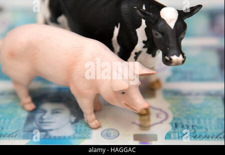 Petition von Vegetariern zu protestieren, über die Verwendung von tierischen Produkten (Talg) in neue Polymer-fünf Pfund-Banknoten, London Stockfoto