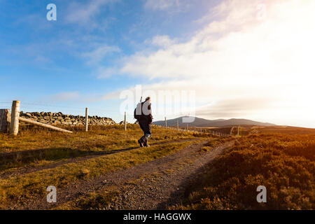 Ein Hügel Walker genießen das Wetter auf einem Pfad über die Clwydian Strecke in Denbighshire, Nordwales. Stockfoto