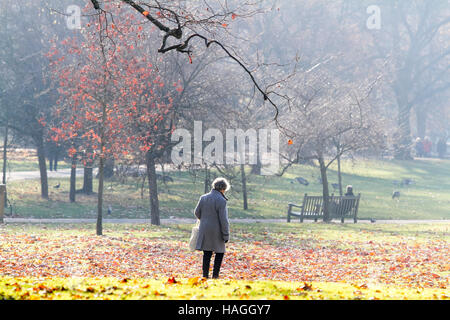 London, UK. 1. Dezember 2016. Londoner zu Fuß durch den St. James Park in der schönen Nachmittag Wintersonne an einem kalten Tag mit Minusgraden Credit: Amer Ghazzal/Alamy Live-Nachrichten Stockfoto