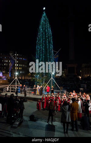 London, UK.  1. Dezember 2016.  Eine 22-Meter hohe Norwegische Fichte, eingerichtet im traditionellen norwegischen Stil mit vertikalen Saiten der Lichter (rund 770 energieeffiziente Leuchtmittel) leuchtet am Trafalgar Square.  Der Baum ist der Stadt Oslo traditionelle Weihnachtsgeschenk an London als Zeichen des Dankes für die britische Unterstützung während des zweiten Weltkriegs.  Der Oberbürgermeister von Westminster, Stadtrat Steve Summers gehostet der Bürgermeister von Oslo, Marianne Borgen, die die offizielle Beleuchtung bis durchgeführt. Bildnachweis: Stephen Chung / Alamy Live News Stockfoto