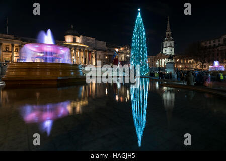 London, UK.  1. Dezember 2016.  Eine 22-Meter hohe Norwegische Fichte, eingerichtet im traditionellen norwegischen Stil mit vertikalen Saiten der Lichter (rund 770 energieeffiziente Leuchtmittel) leuchtet am Trafalgar Square.  Der Baum ist der Stadt Oslo traditionelle Weihnachtsgeschenk an London als Zeichen des Dankes für die britische Unterstützung während des zweiten Weltkriegs.  Der Oberbürgermeister von Westminster, Stadtrat Steve Summers gehostet der Bürgermeister von Oslo, Marianne Borgen, die die offizielle Beleuchtung bis durchgeführt. Bildnachweis: Stephen Chung / Alamy Live News Stockfoto