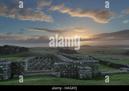 Die Überreste der Getreidespeicher, gesehen in der Morgendämmerung an römischen Kastells Housesteads, Hadrianswall, Northumberland, England Stockfoto