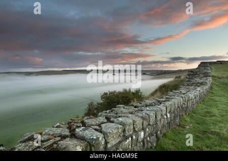 Blick nach Osten, entlang Cawfield Klippen, Hadrianswall, Northumberland - eine Morgendämmerung mit tiefliegenden Nebel auf den Feldern anzeigen Stockfoto