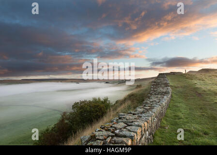 Blick nach Osten, entlang Cawfield Klippen, Hadrianswall, Northumberland - eine Morgendämmerung mit tiefliegenden Nebel auf den Feldern anzeigen Stockfoto