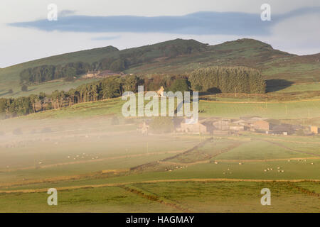 Blick in Richtung römisches Kastell Aesica (große Chesters) aus Cawfield Klippen, Hadrians Wall - Dawn, tief liegenden Nebel auf den Feldern Stockfoto