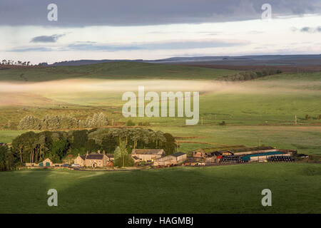 Cawfield Farm, Hadrianswall, Northumberland, England - Sonnenaufgang Blick mit tiefliegenden Nebel, Blick nach Norden vom Cawfield Felsen Stockfoto