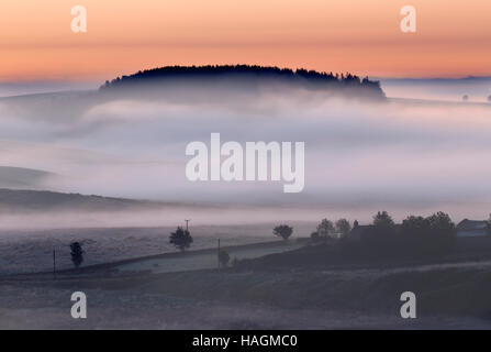 Schön tief liegenden Nebel im Morgengrauen aus römischen Kastells Housesteads, Hadrianswall, Northumberland - auf der Suche nach Südosten gesehen Stockfoto