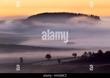 Schön tief liegenden Nebel im Morgengrauen aus römischen Kastells Housesteads, Hadrianswall, Northumberland - auf der Suche nach Südosten gesehen Stockfoto