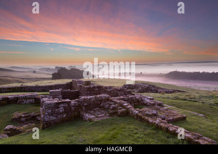 Dawn, tief liegenden Nebel an römischen Kastells Housesteads, Hadrianswall, Northumberland, England Stockfoto