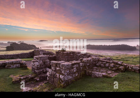 Dawn, tief liegenden Nebel an römischen Kastells Housesteads, Hadrianswall, Northumberland, England Stockfoto