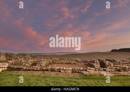 Housesteads, Hadrianswall, Northumberland - Blick nach Norden auf die Reste der Baracke Blöcke (13 und 14) im Morgengrauen Stockfoto